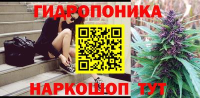 PSILOCYBIN Новодвинск