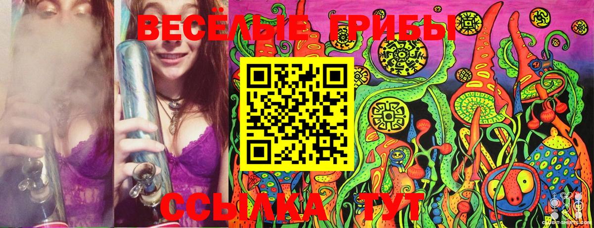 Псилоцибиновые грибы GOLDEN TEACHER  Псилоцибиновые грибы MAGIC MUSHROOMS  Вход с VPN  Урай 